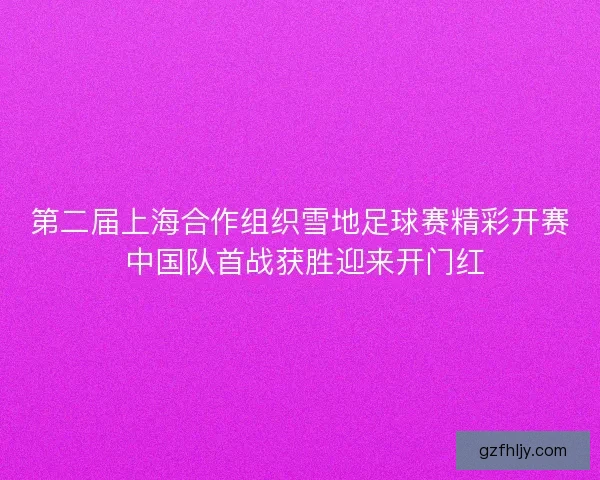 第二届上海合作组织雪地足球赛精彩开赛 中国队首战获胜迎来开门红