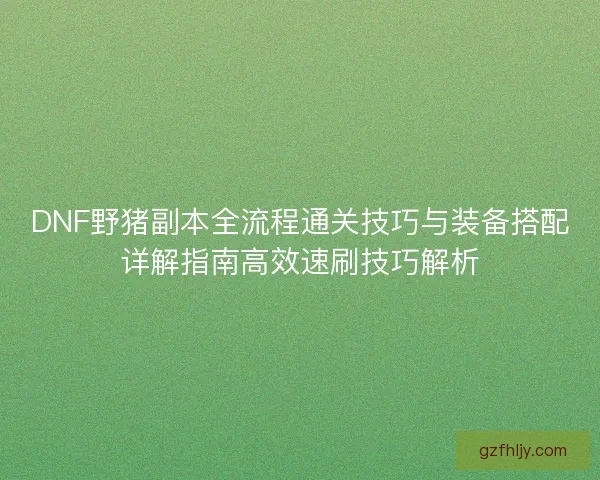 DNF野猪副本全流程通关技巧与装备搭配详解指南高效速刷技巧解析